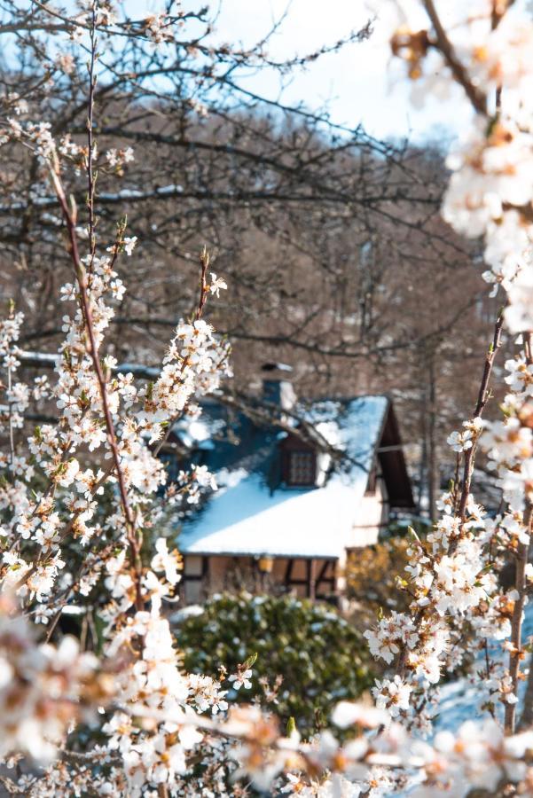Gastehaus Eponada Villa Weisel ภายนอก รูปภาพ